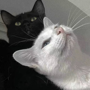 肛塞自慰动漫游戏
