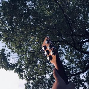 肛塞自慰动漫游戏
